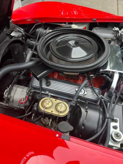 1975 driver side engine photo.JPG