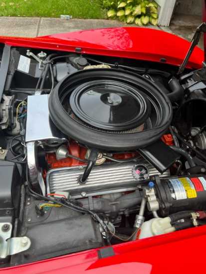 1975 engine and ac compressor photo.JPG